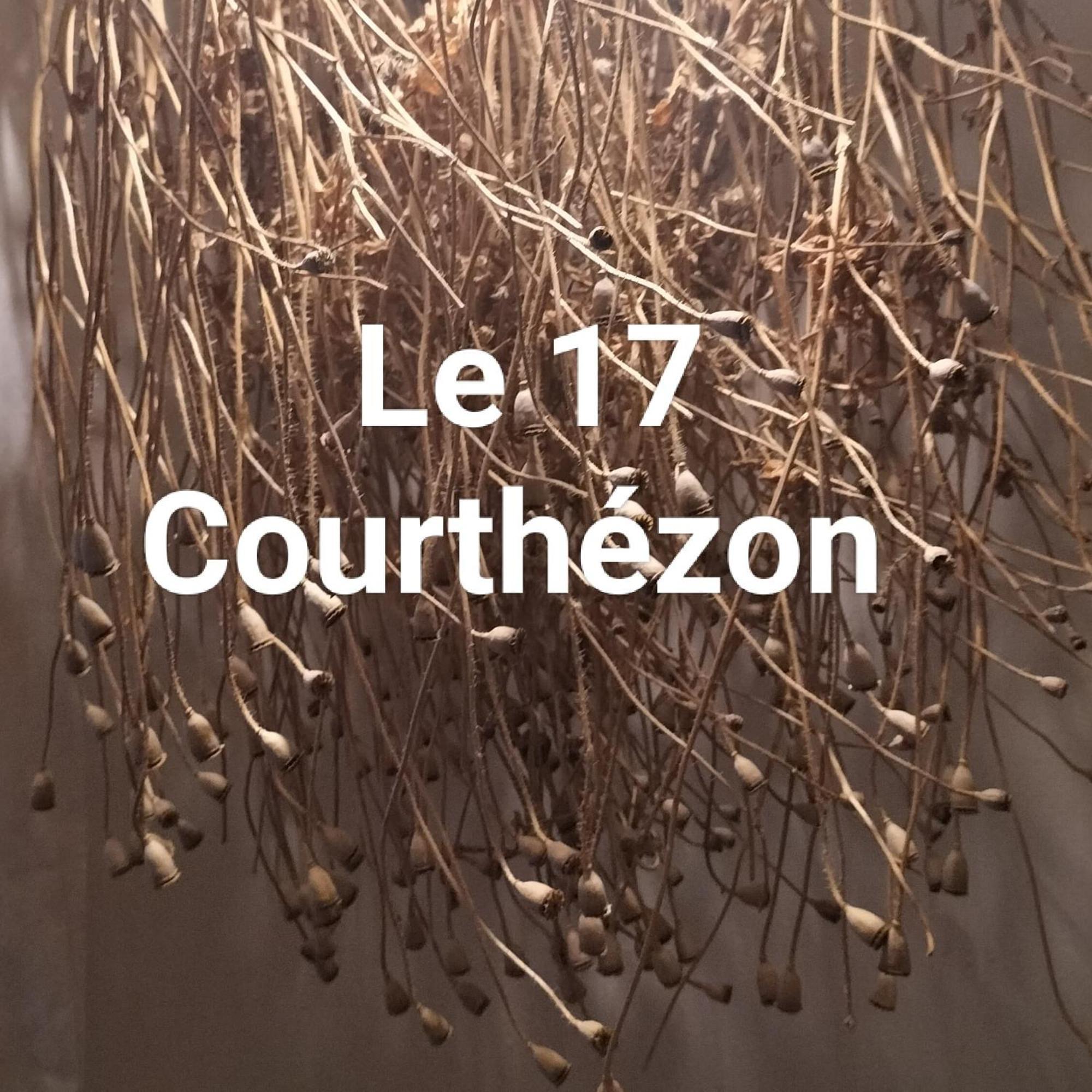 Le 17 Hotel Courthezon Luaran gambar